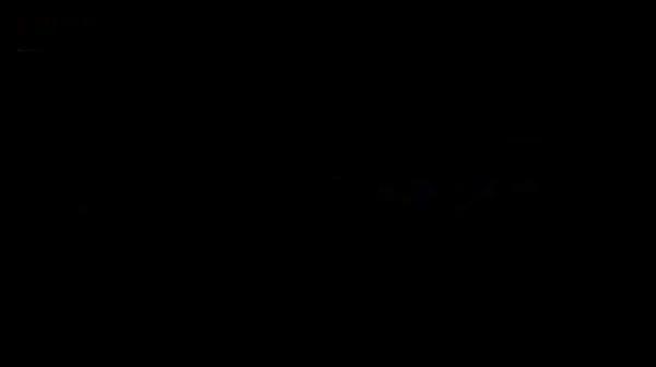 圣天狐女王------经典调教狗狗钻胯舔脚舔bb.avi